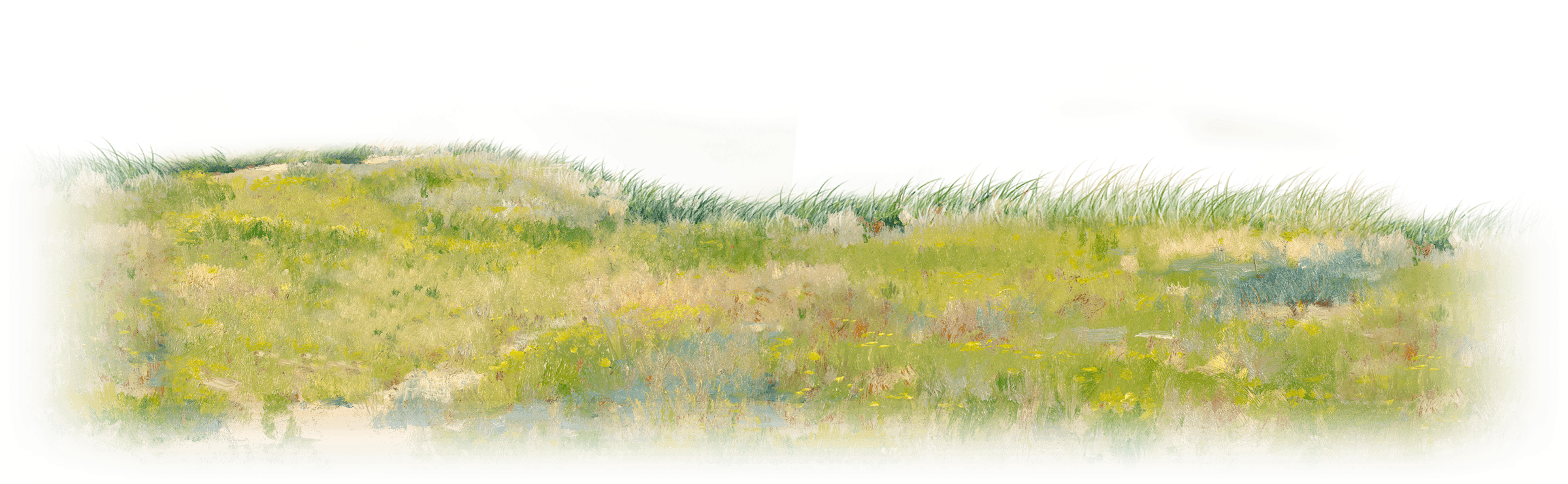 Animation - Grass Png Plan Water Color (2400x1350), Png Download