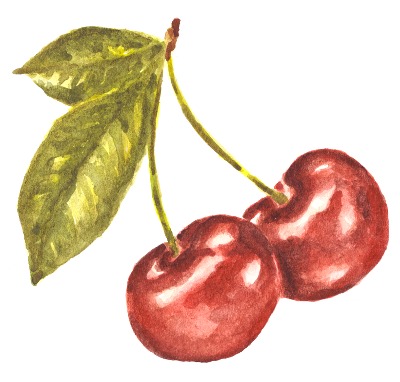 Pair Of Cherries Watercolor Study - Watercolor Cherries (850x786), Png Download
