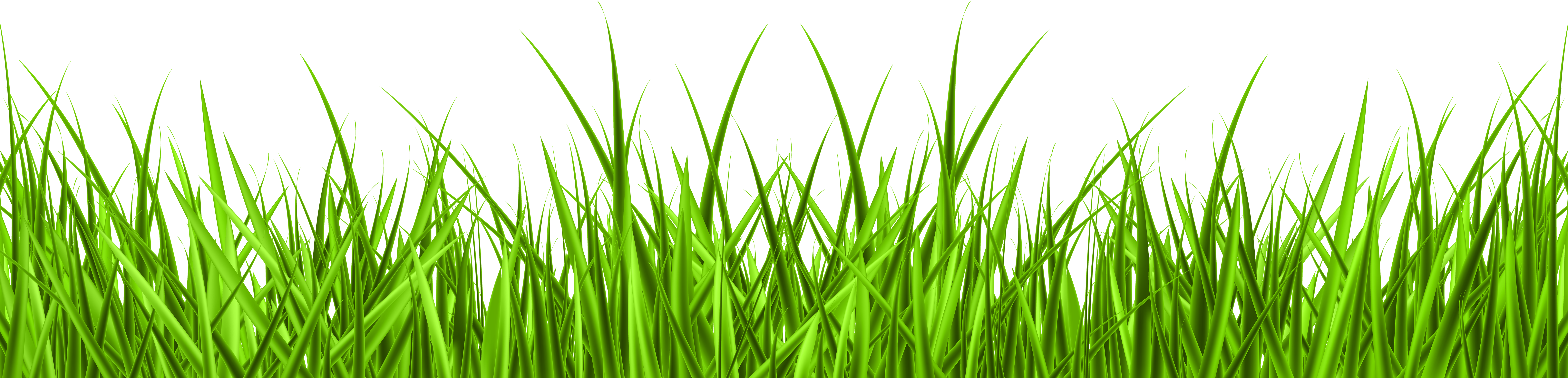 Grass Png (8000x2187), Png Download
