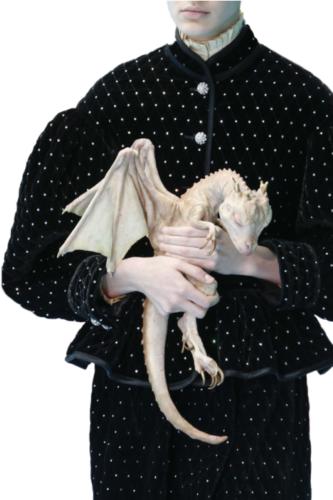 Gucci Fw18🐉 - Gucci Spring Summer 2019 (500x723), Png Download