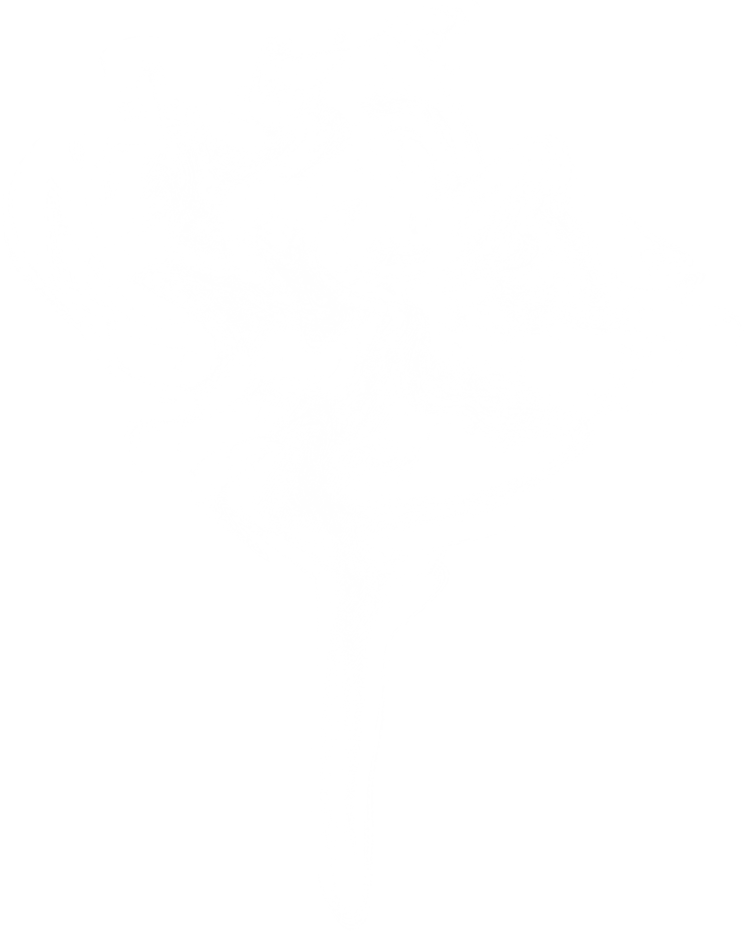 Free Download - Smoke (1536x1924), Png Download