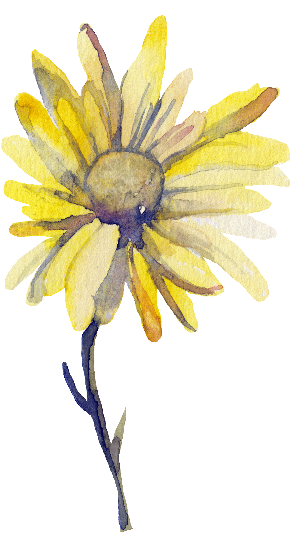 Yellow Sun Flower Transparent Decorative - Watercolor Painting (1024x1791), Png Download