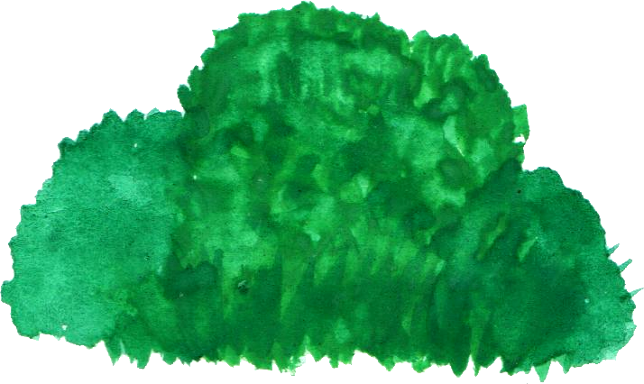 Watercolor Bush Transparent - Watercolor Bush (714x426), Png Download