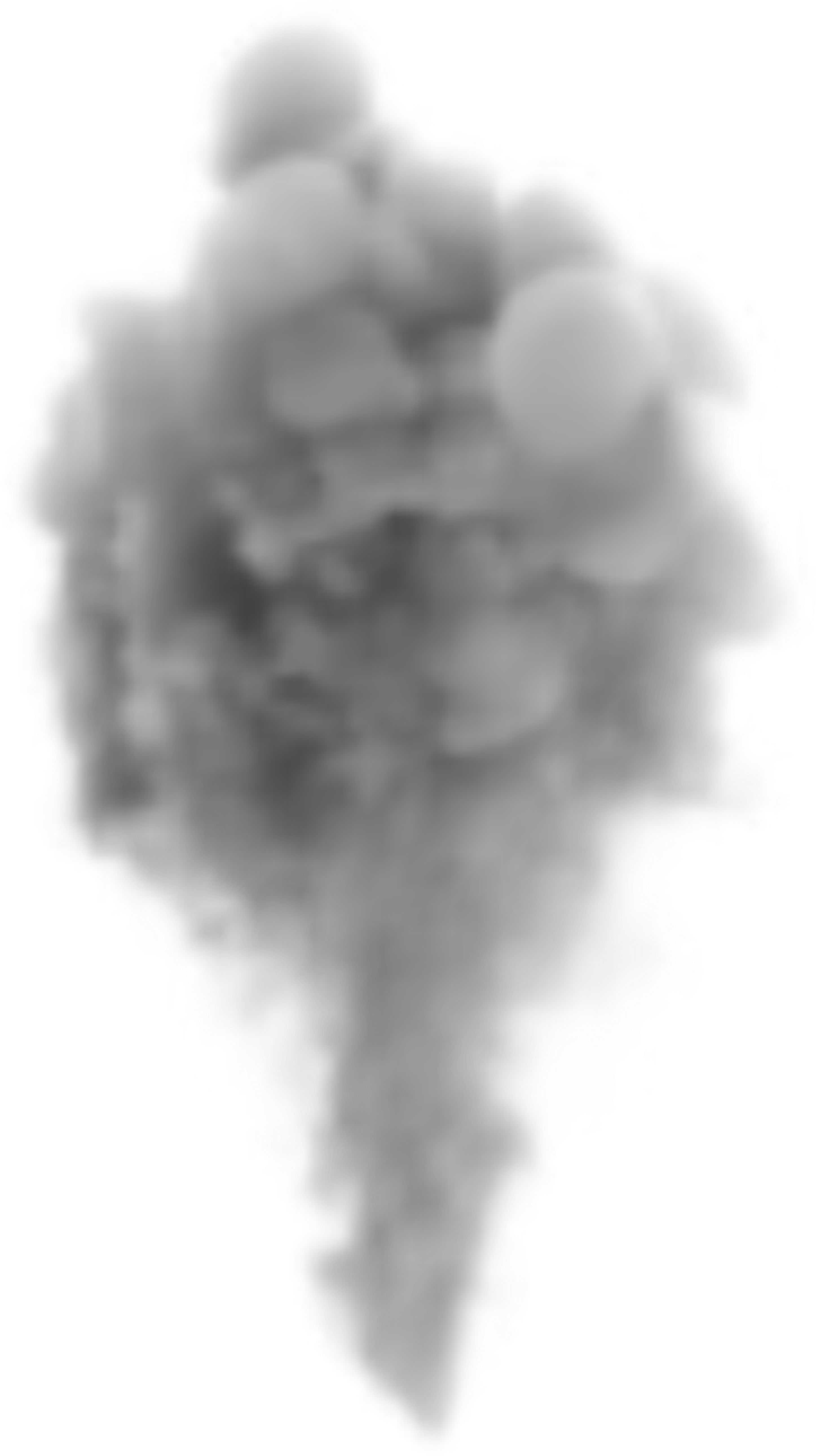 Transparent Background Smoke Clipart (3060x5416), Png Download