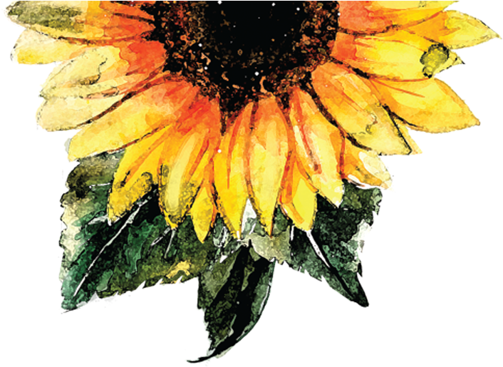 Choose To Shine - Water Color Sunflower Png (710x538), Png Download