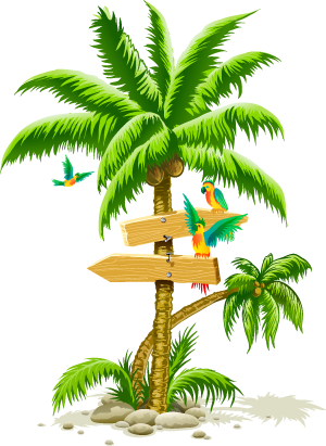 Tropical Palm Tree Png (300x411), Png Download