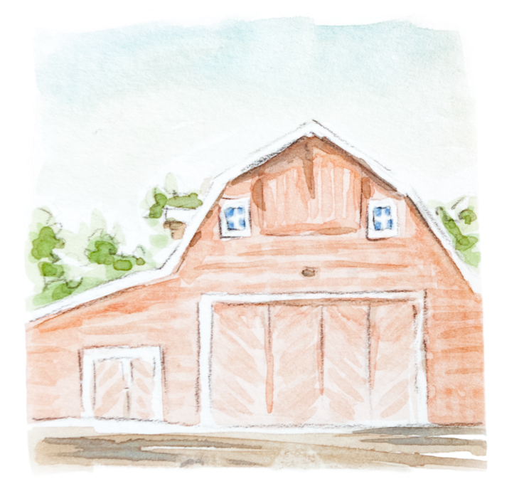 Imgp6931 - Portable Network Graphics (1000x1000), Png Download