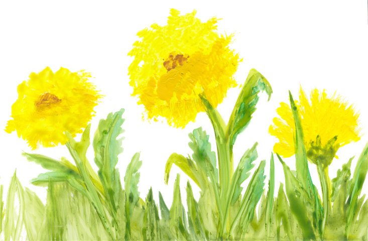 Local Artist Adds Flair To New Children's Book Series - Yellow Flower Watercolor Transparent (733x480), Png Download