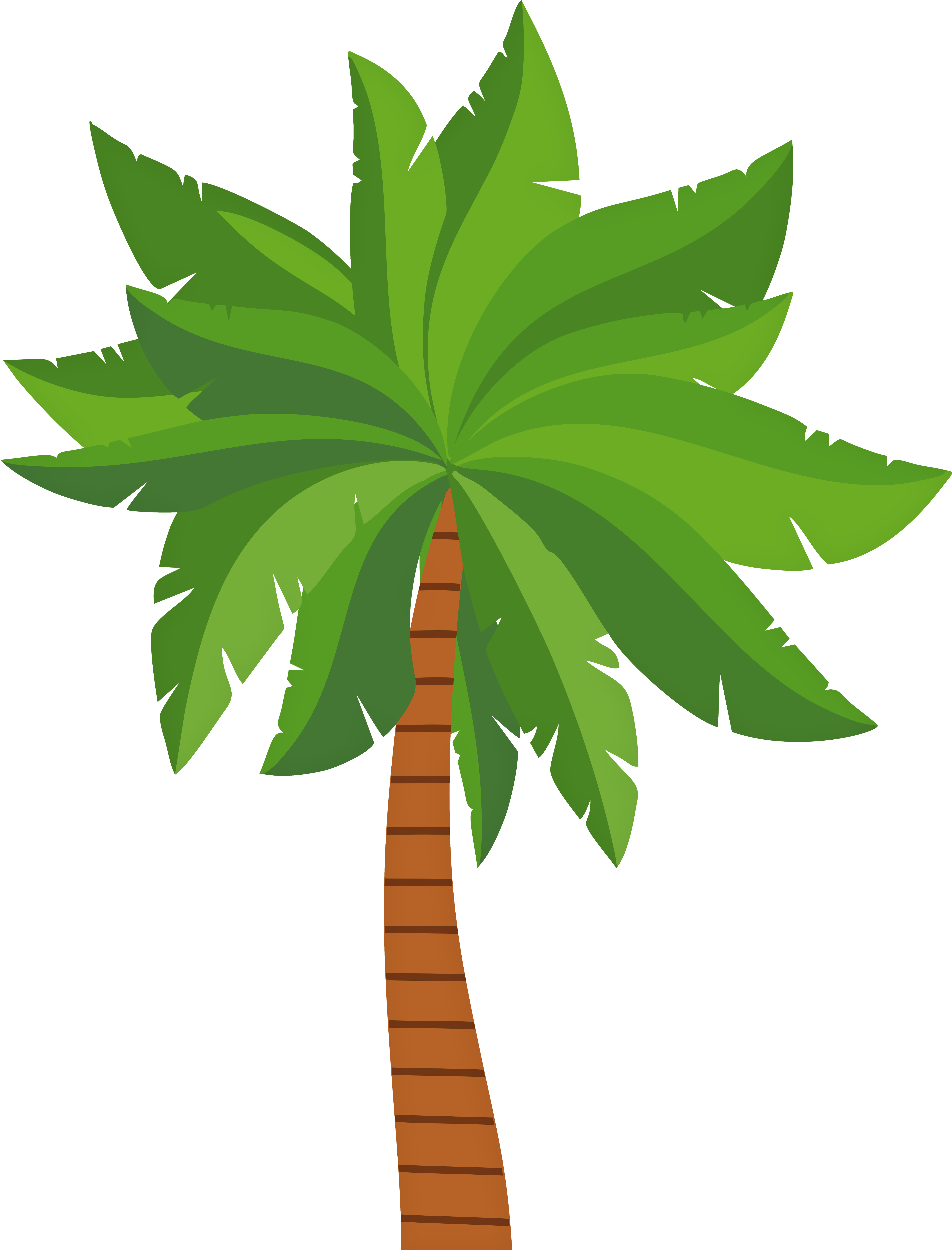 Palm Tree Png Clip Art Image (6117x8000), Png Download