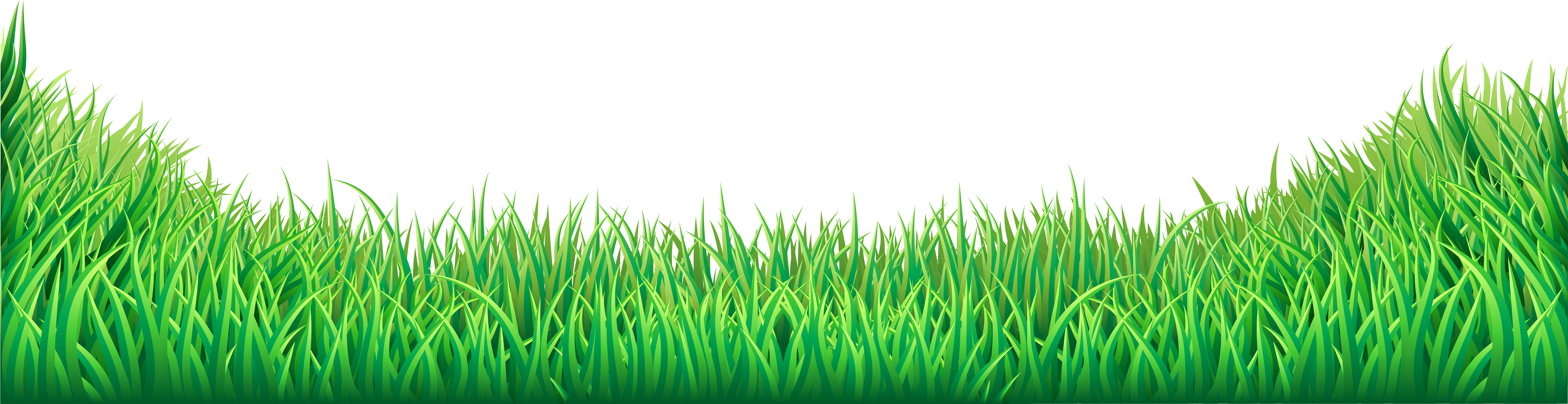 Transparent Clip Art Image Png Royalty Free - Grass Png (8000x2218), Png Download