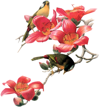 Birds - Leather Bag Female Yellow (370x400), Png Download