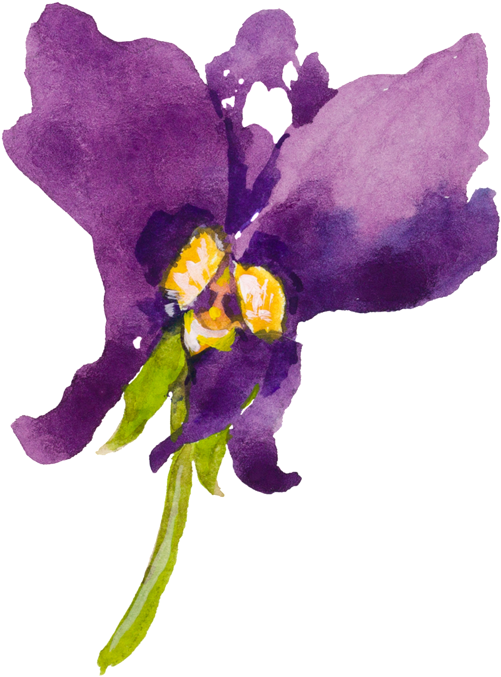 This Graphics Is Purple Cartoon Butterfly Orchid Watercolor - Orchids (1024x1356), Png Download