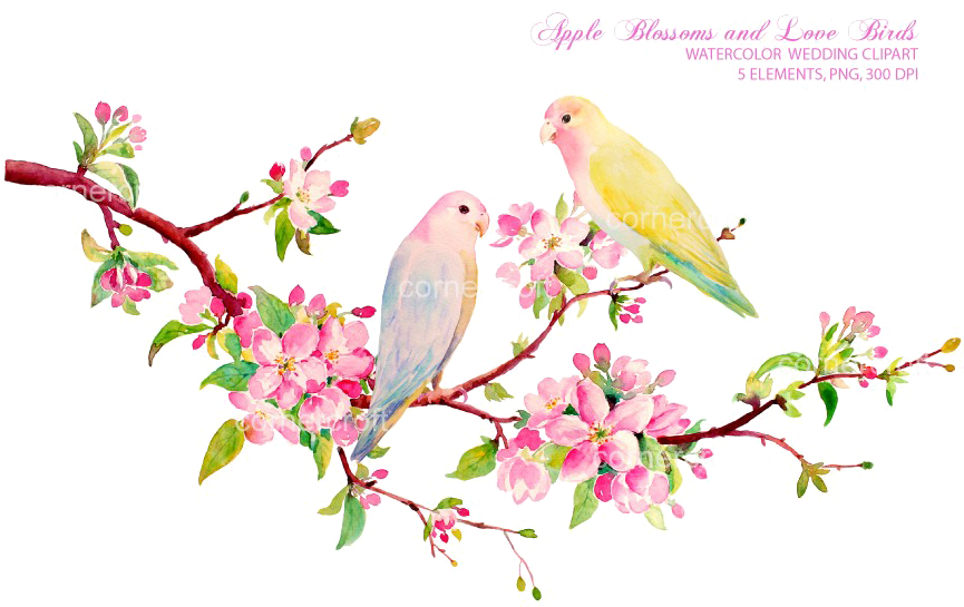 Love Birds Png Download Image - Spring Flowers Watercolor Clipart (866x577), Png Download