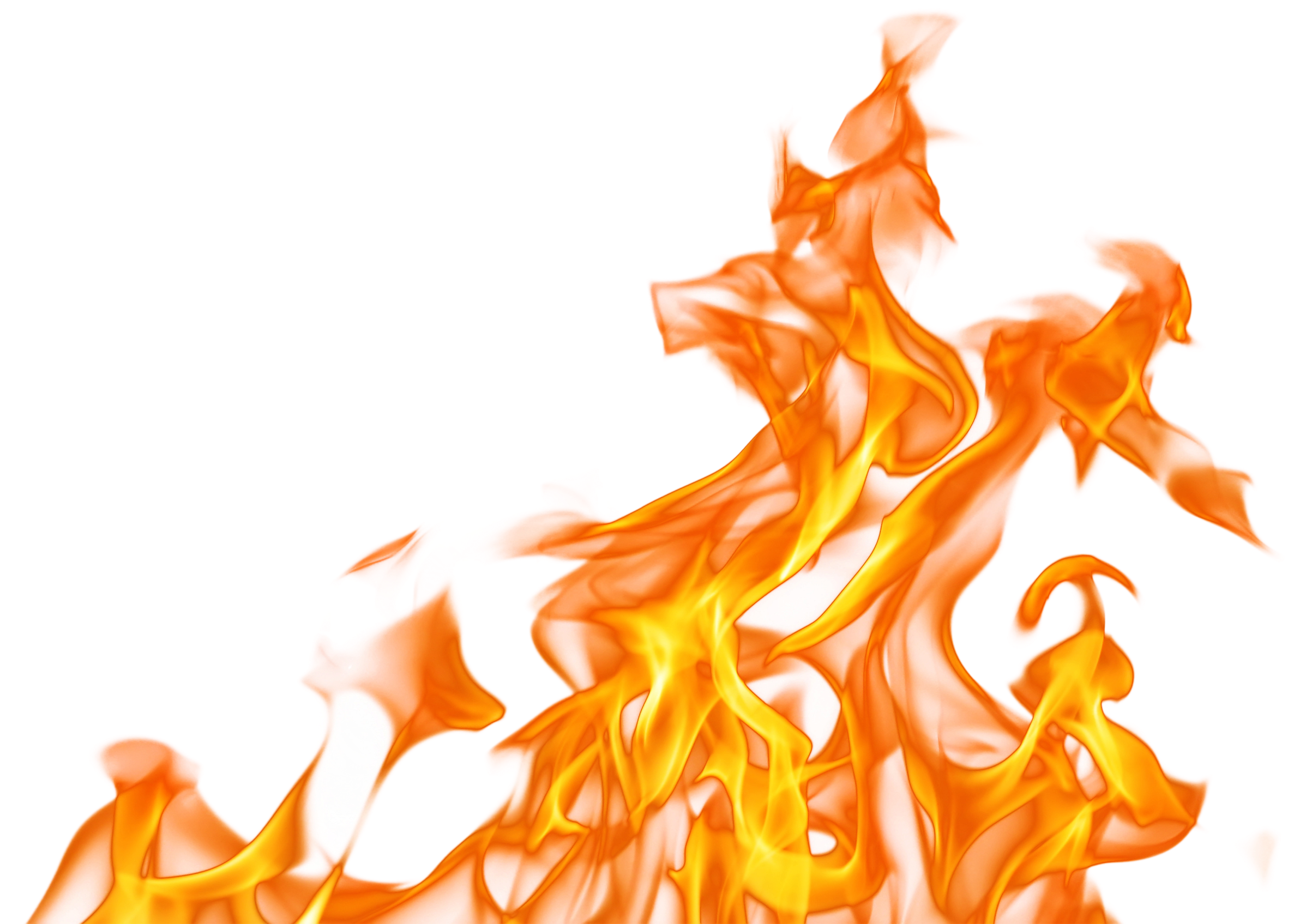 Fire Meme Png Free Logo Image