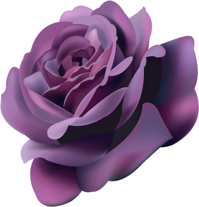 Png Roses - Violet Roses Png (800x712), Png Download