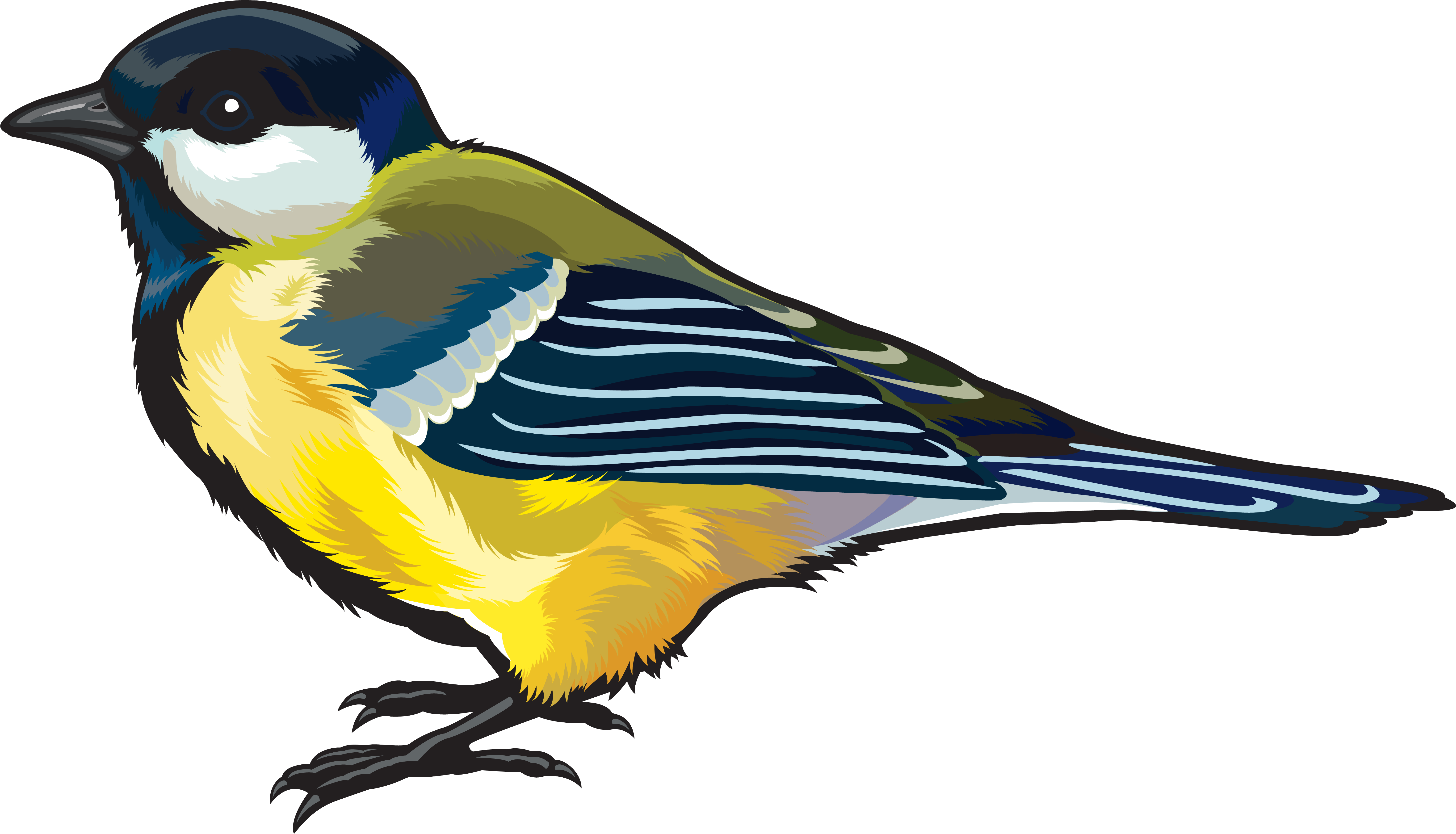 Hd Clipart Png Birds (6291x3690), Png Download