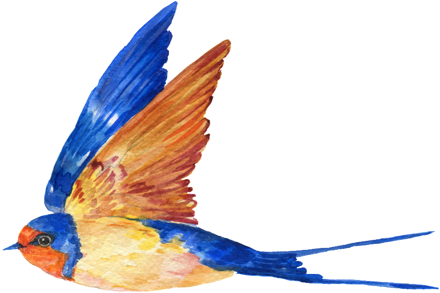 This Graphics Is Hand Painted A Free Flying Bird Png - Transparent Blue Bird Png (1024x649), Png Download