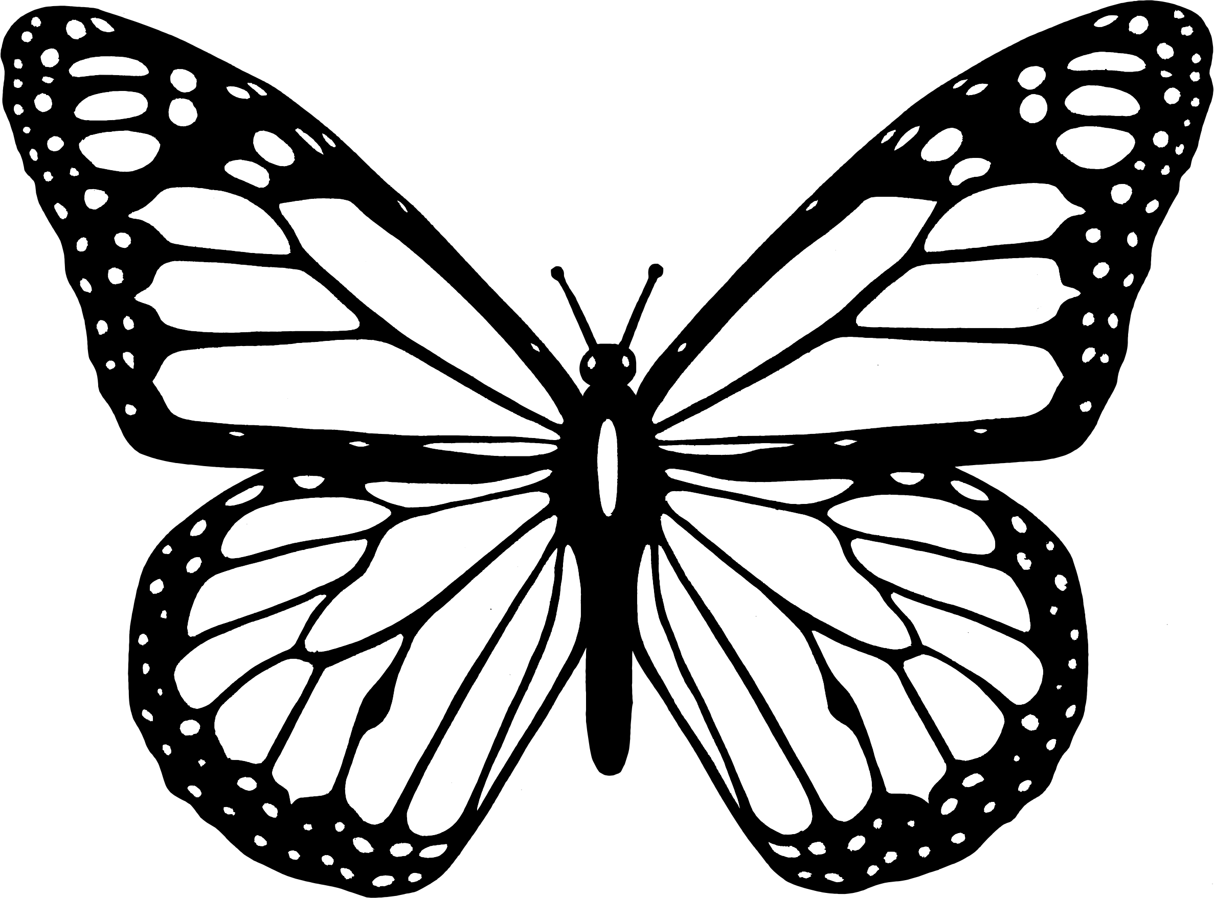 Butterfly Black And White Clipart Butterfly Png - Butterfly Clipart Black And White (2374x1757), Png Download