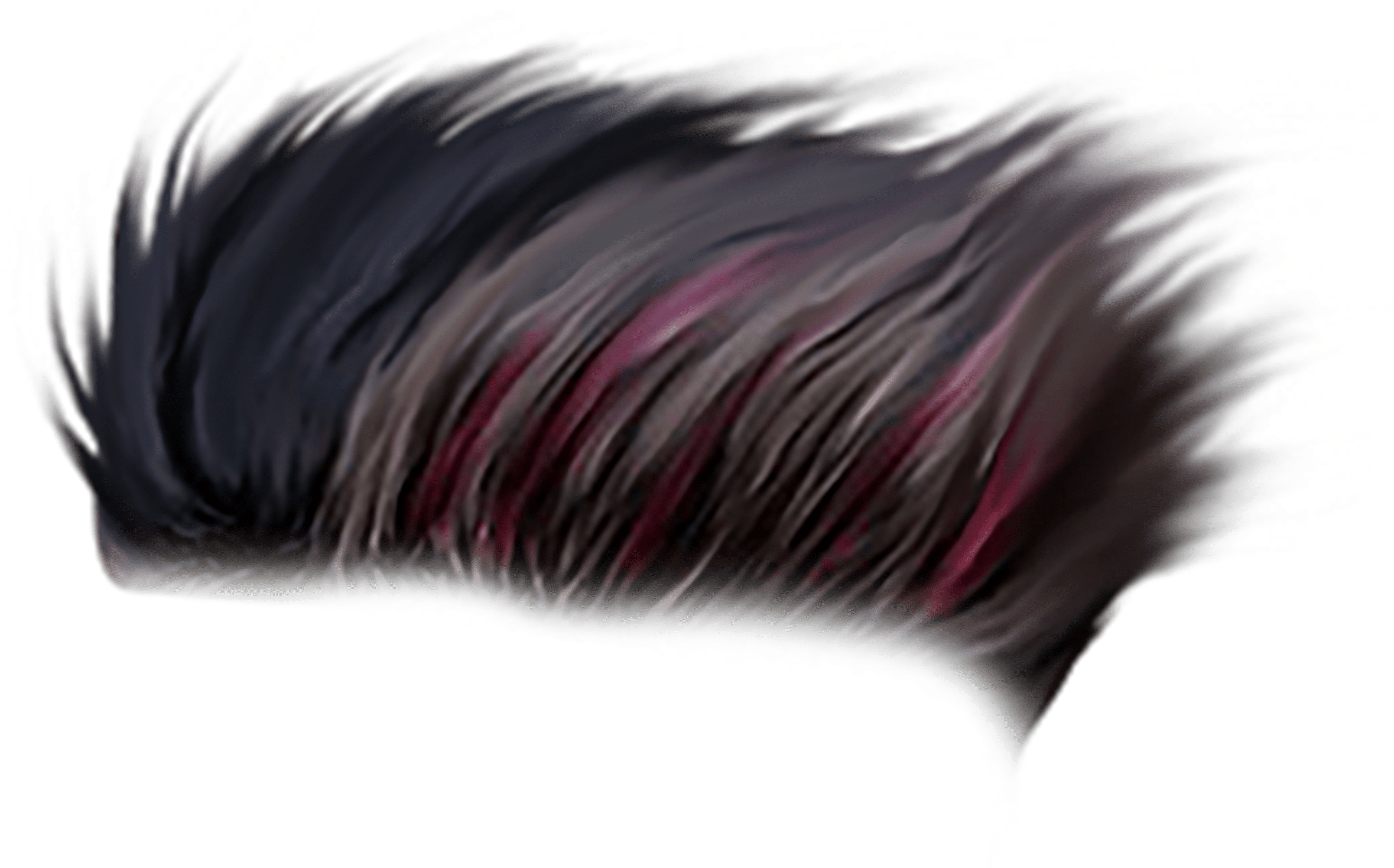 Free Download Hair PNG ImagesHigh quality