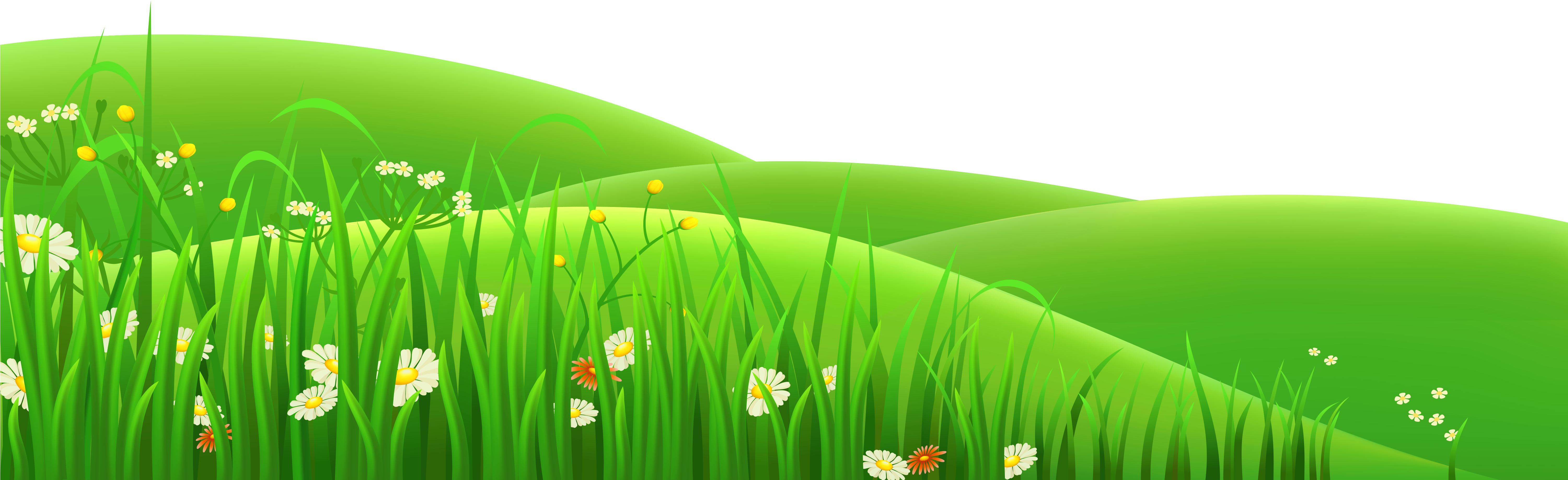 Grass Clip Art Png (6000x1968), Png Download