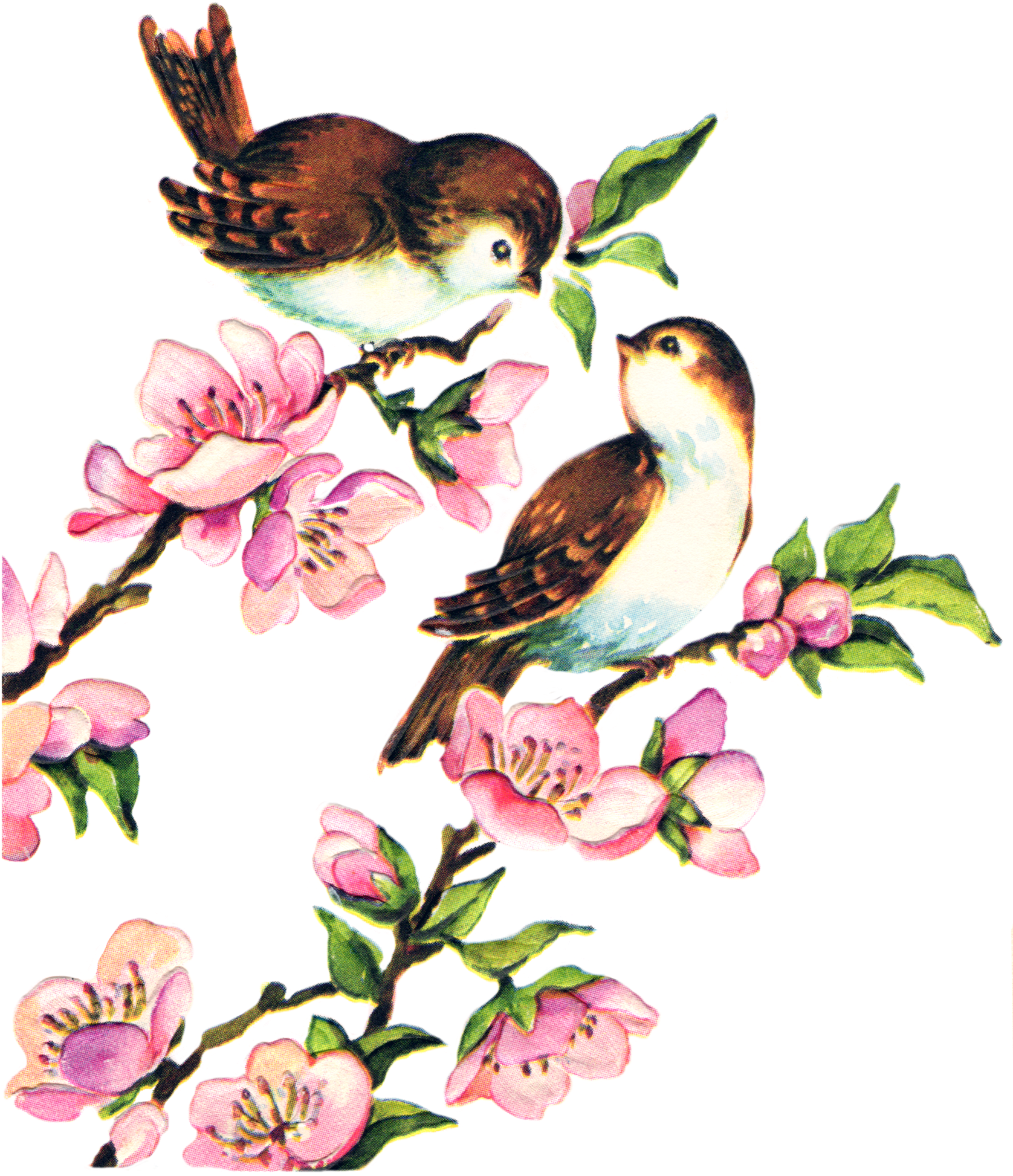 Free Collage Sheet Vintage Birds Fptfy - Clip Art Bird Vintage (1827x2079), Png Download