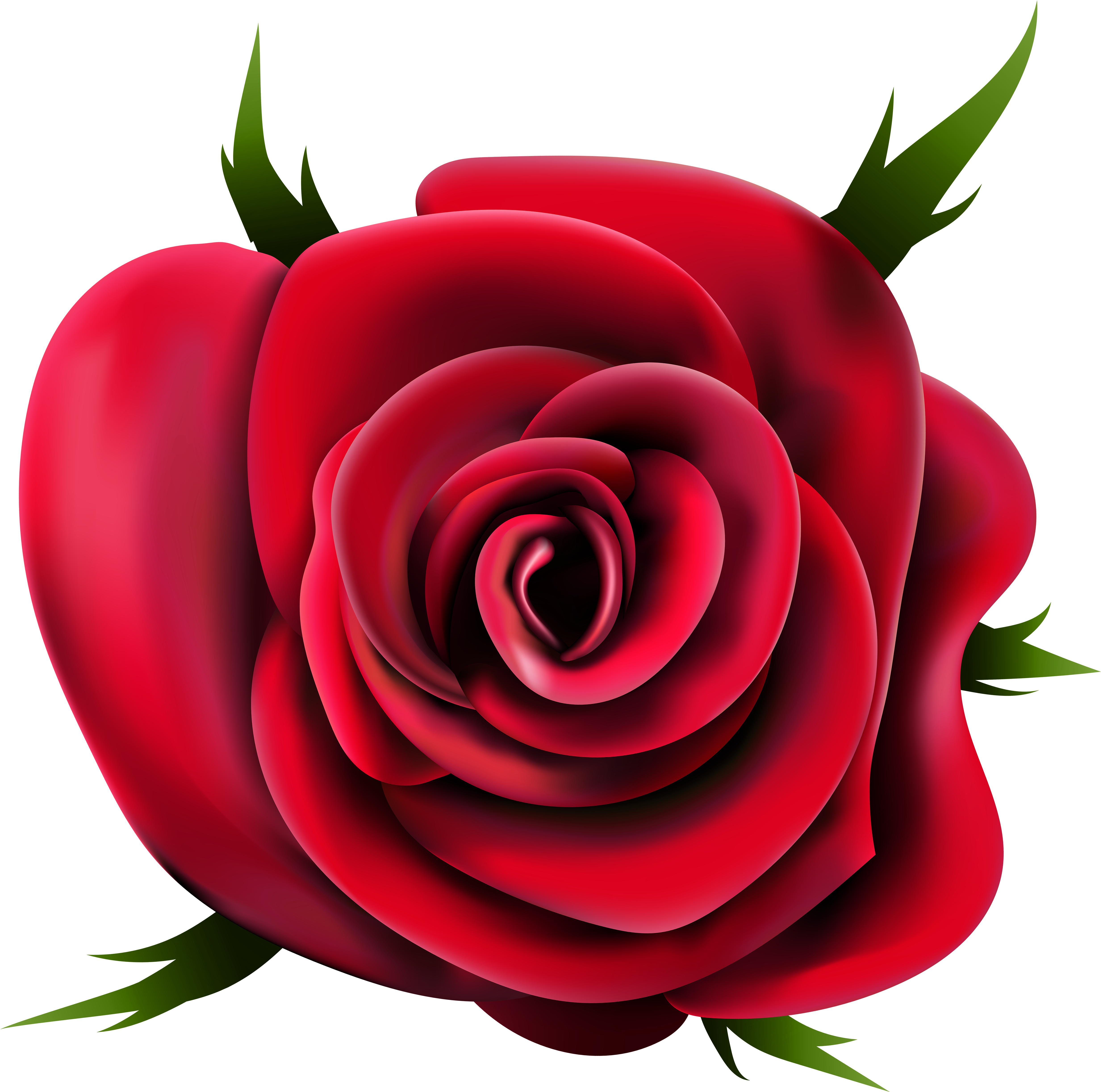 Rose Png (5000x4969), Png Download