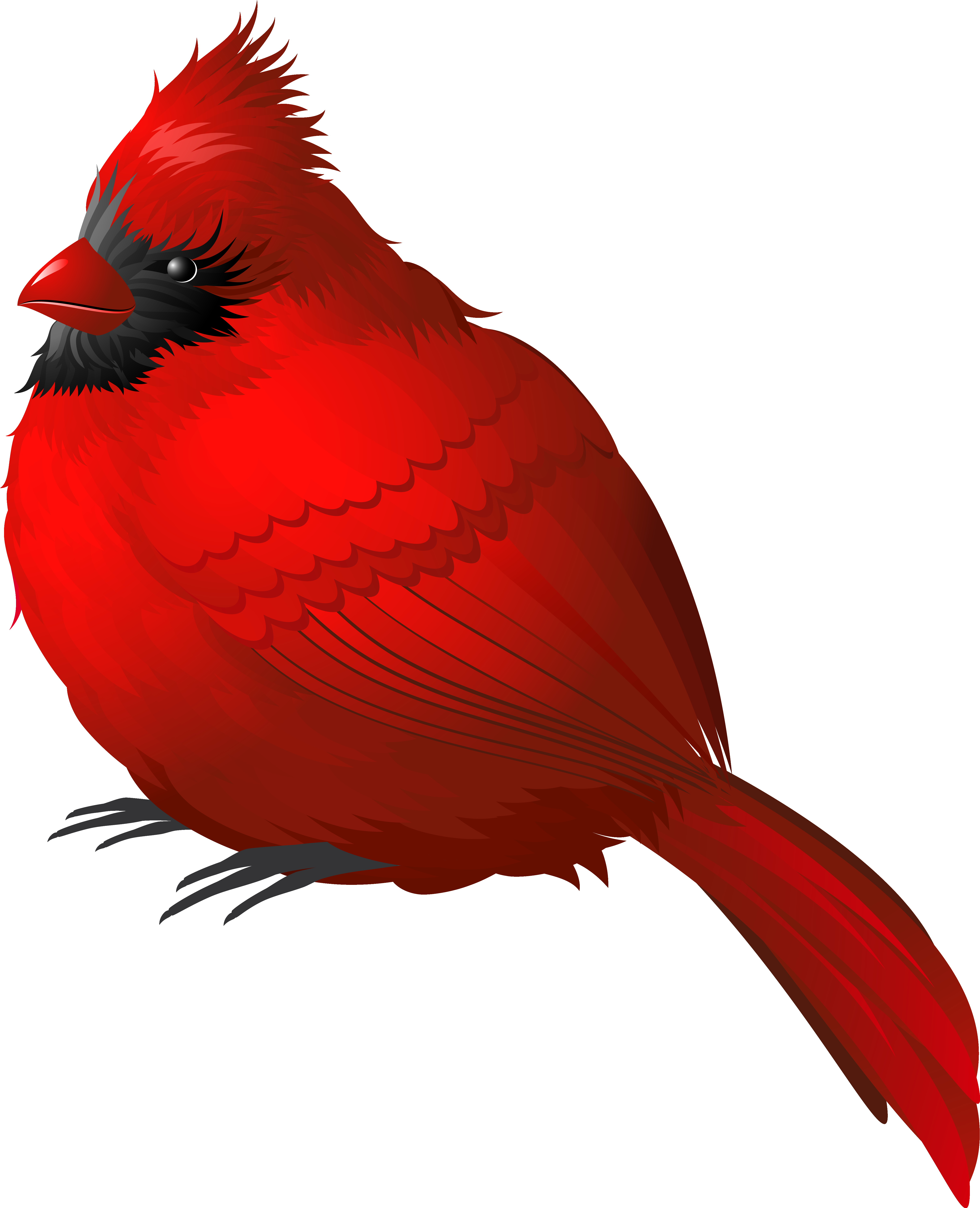 Red Winter Bird Png Clipart Image - Cardinal Png (4925x6068), Png Download
