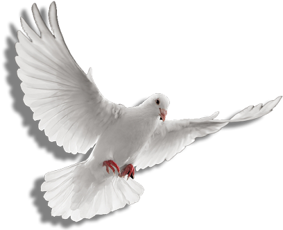 Download Holy Spirit Dove Png Clip Art Transparent Stock - Holy Spirit