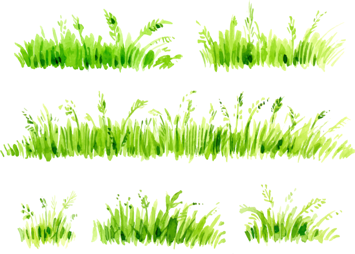 Painting Download Painted Transprent Png Free Lawn - Pasto Watercolor Png (732x524), Png Download