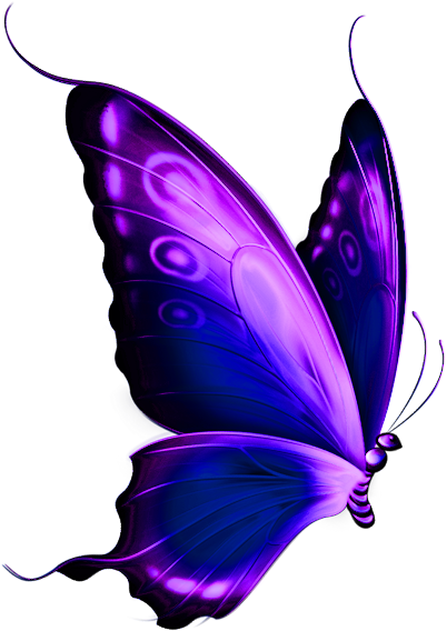 Transparent Blue And Purple Deco Butterfly Png Clipart - Transparent Background Butterfly Png (433x585), Png Download