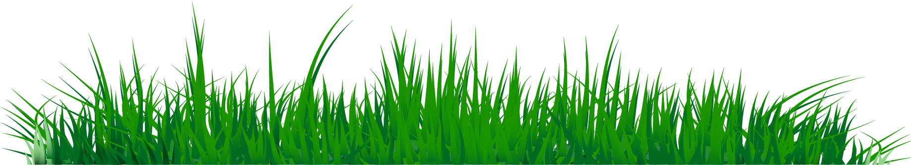 Grass Clipart Png Image 07 - Grass Clip Art Of Png (1852x498), Png Download
