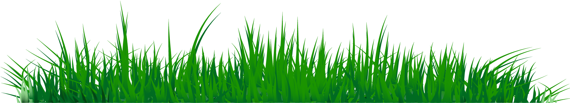 Download Grass Clipart Png Image 07 Grass Clip Art Of Png Png Image With No Background Pngkey Com