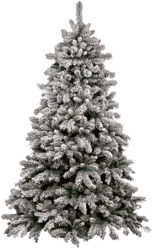 Christmas Tree Snow - Transparent Christmas Tree Png (894x894), Png Download