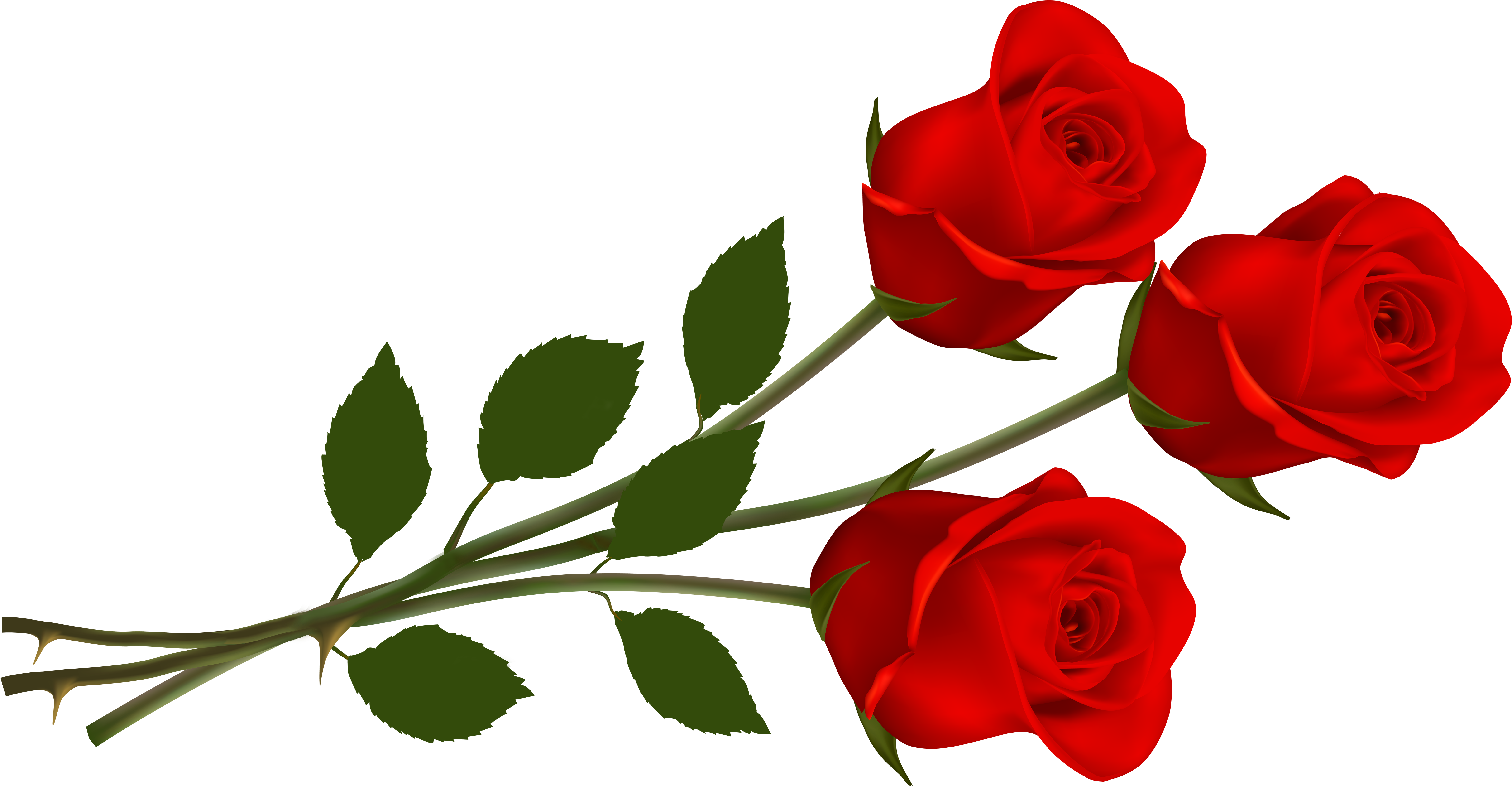 Rose Png For Picsart (6500x3637), Png Download