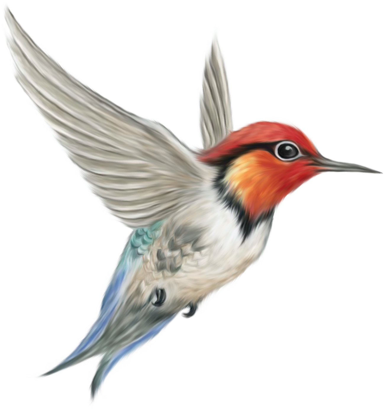 Bird Png (1442x1422), Png Download