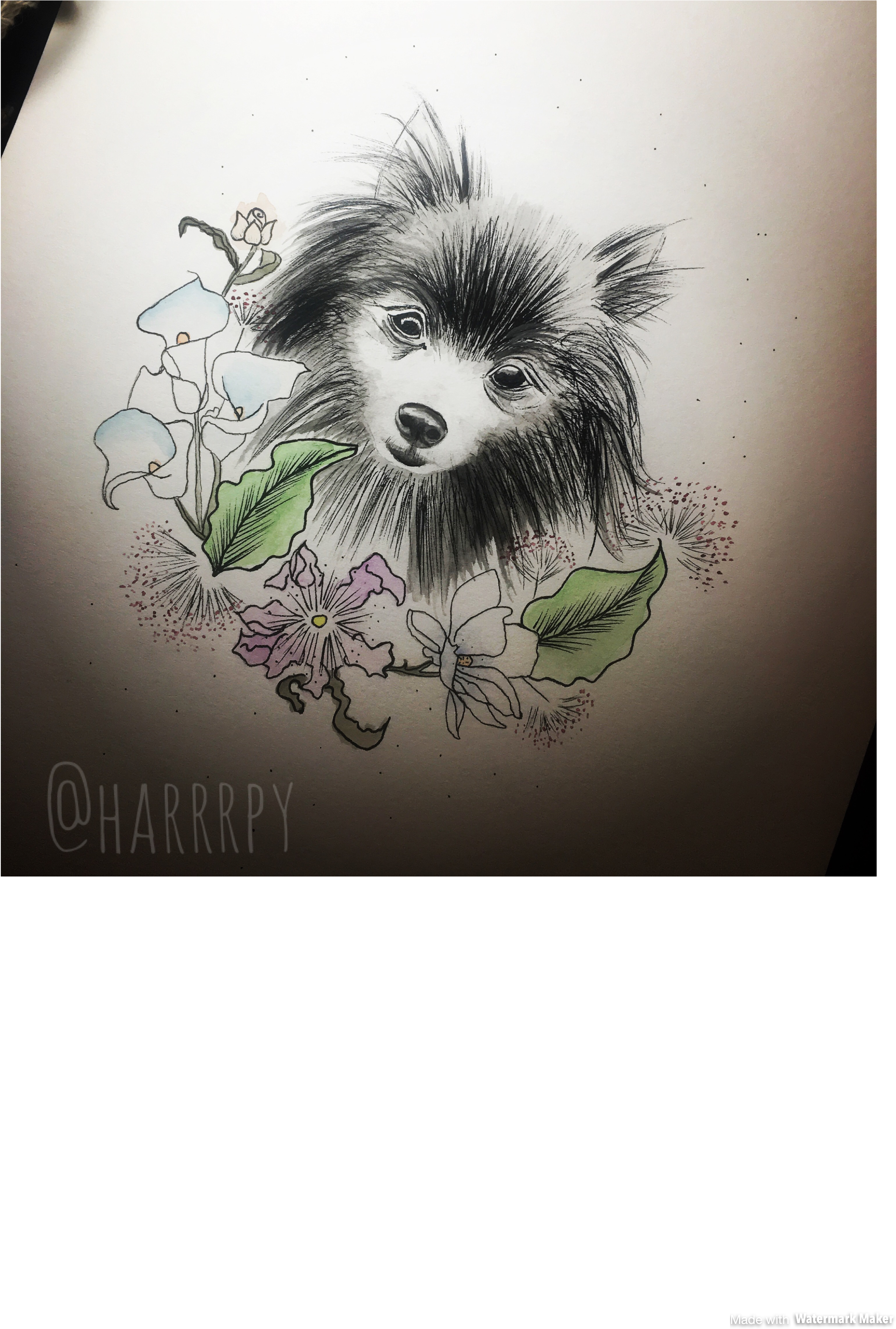 Custom Dog Watercolor Portrait - Chinese Crested Dog (2160x3840), Png Download