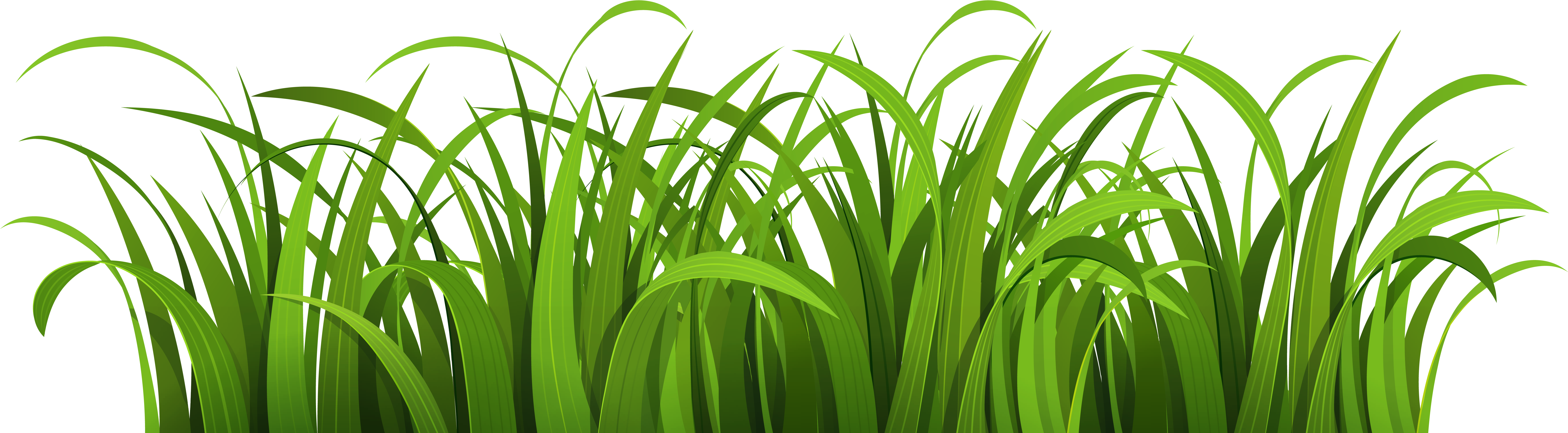 Download Cartoon Grass Transparent Background PNG Image with No