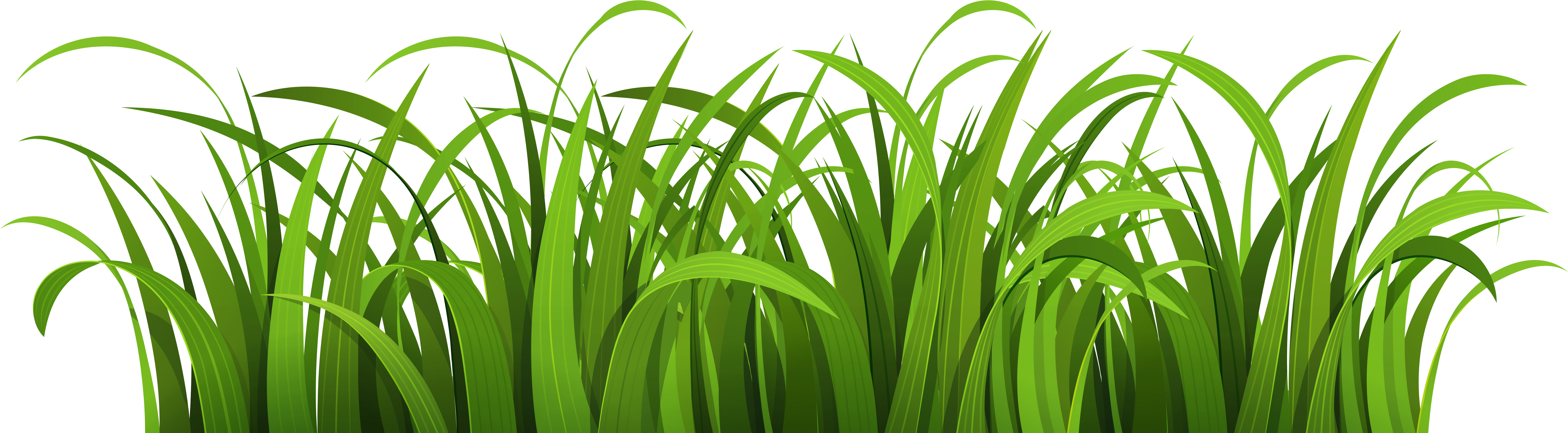 Transparent Grass Ground Cartoon