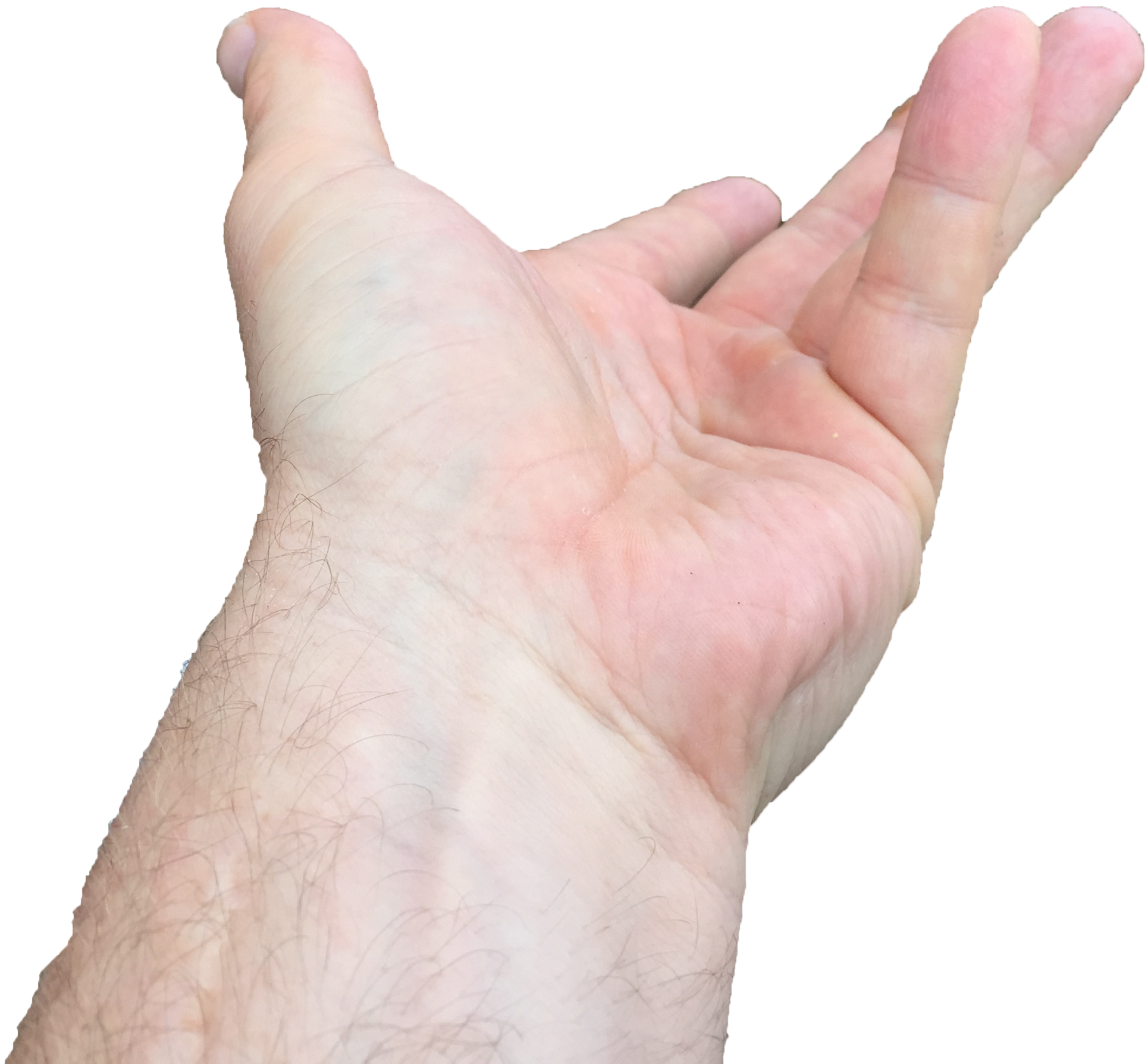 Left Hand - Sign Language (1983x2259), Png Download