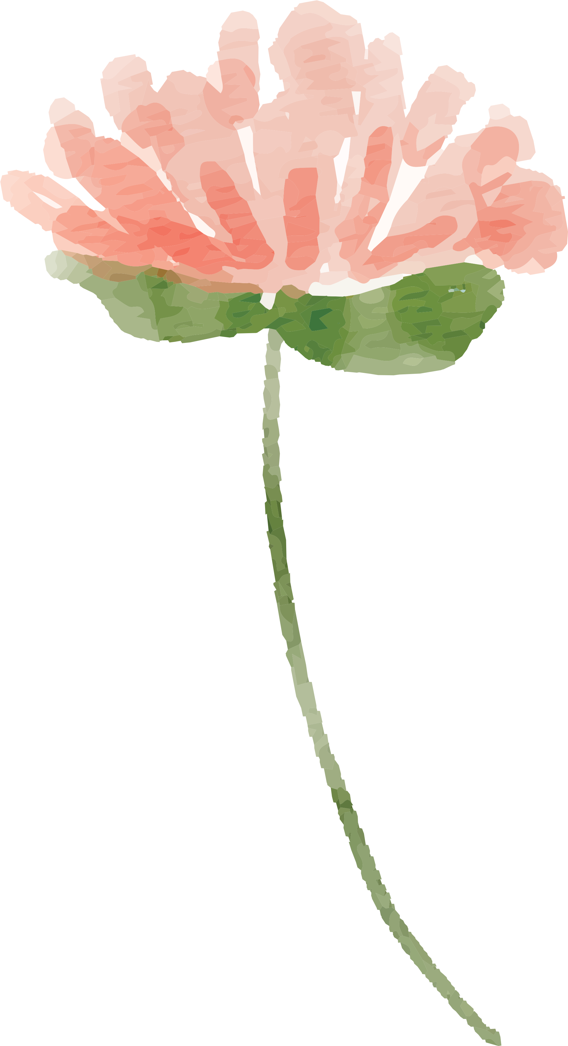 Free Watercolor Flower Images - Free Water Color Flower (2150x3600), Png Download