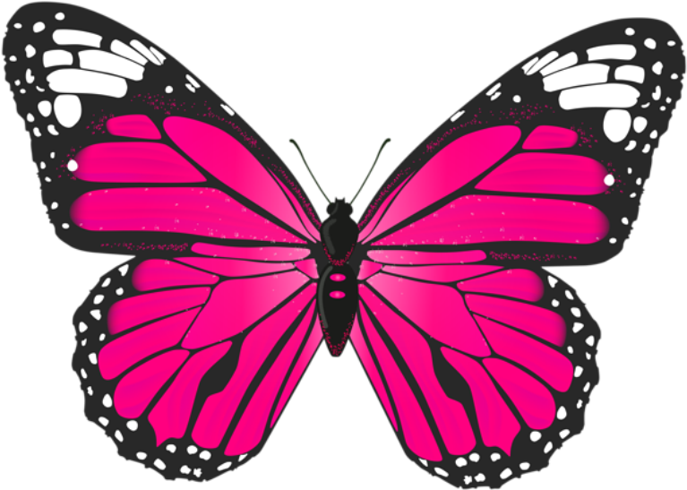 Butterfly Png Image Jpg Royalty Free Download - Butterfly Pink Clip Art (600x428), Png Download