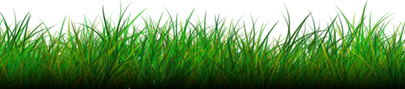 Grass Png Image - Picsart Grass Png Hd (800x177), Png Download