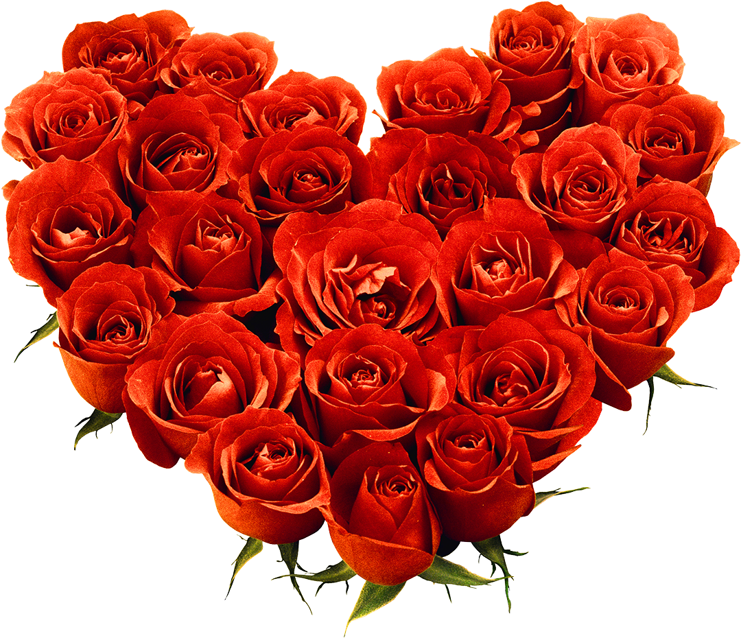 Bunch Of Rose Png (1181x1031), Png Download