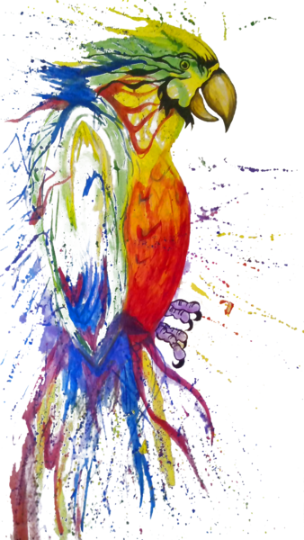 Bird Fabric, Parrot Fabric, Watercolor Fabric, Scared - นก แก้ว รูป วาด (338x600), Png Download