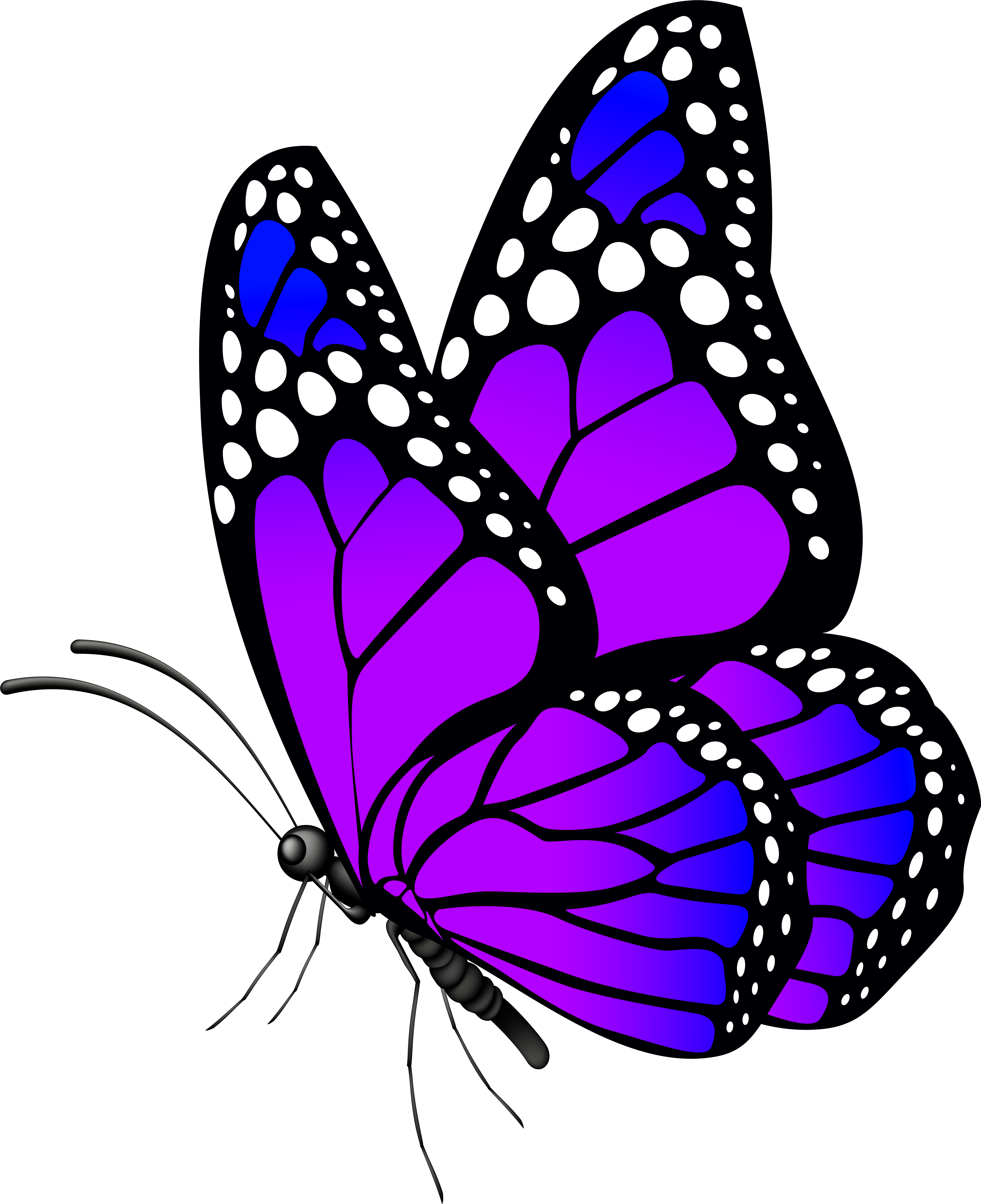 Jpg Purple Clip Art Image Gallery Yopriceville High (6521x8000), Png Download