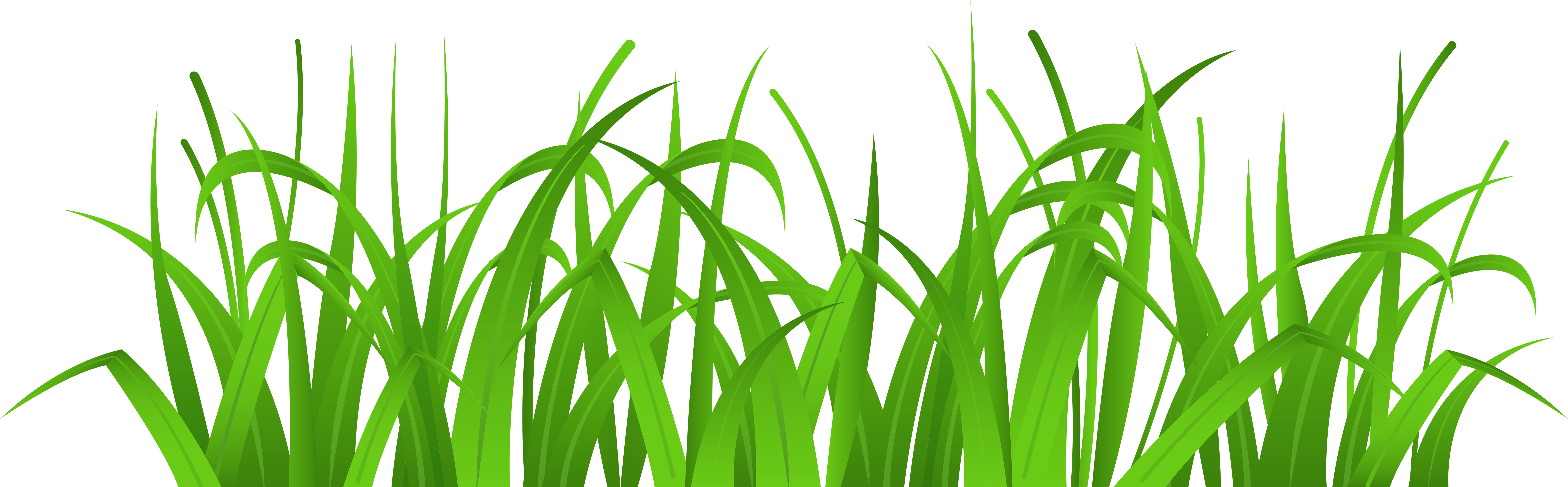 Grass Cover Png Clip Art - Clipart Grass (8000x2504), Png Download