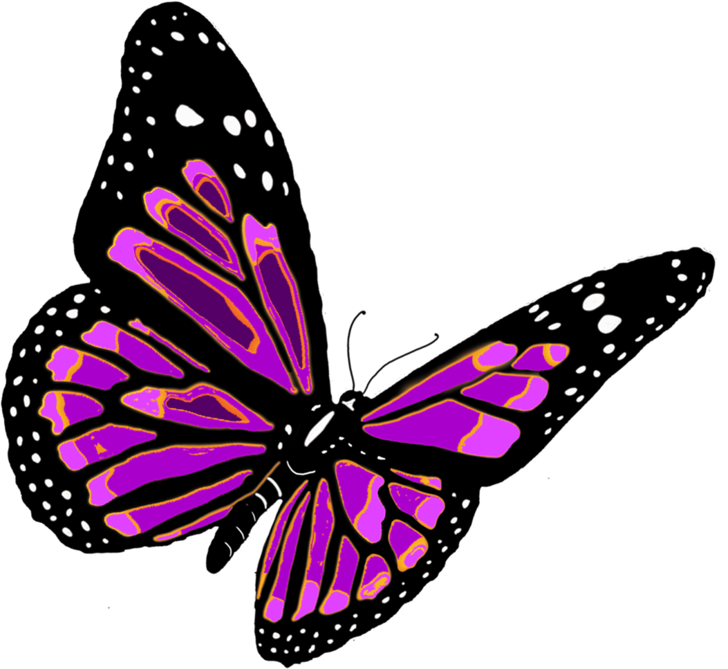 Butterfly Png (1053x967), Png Download