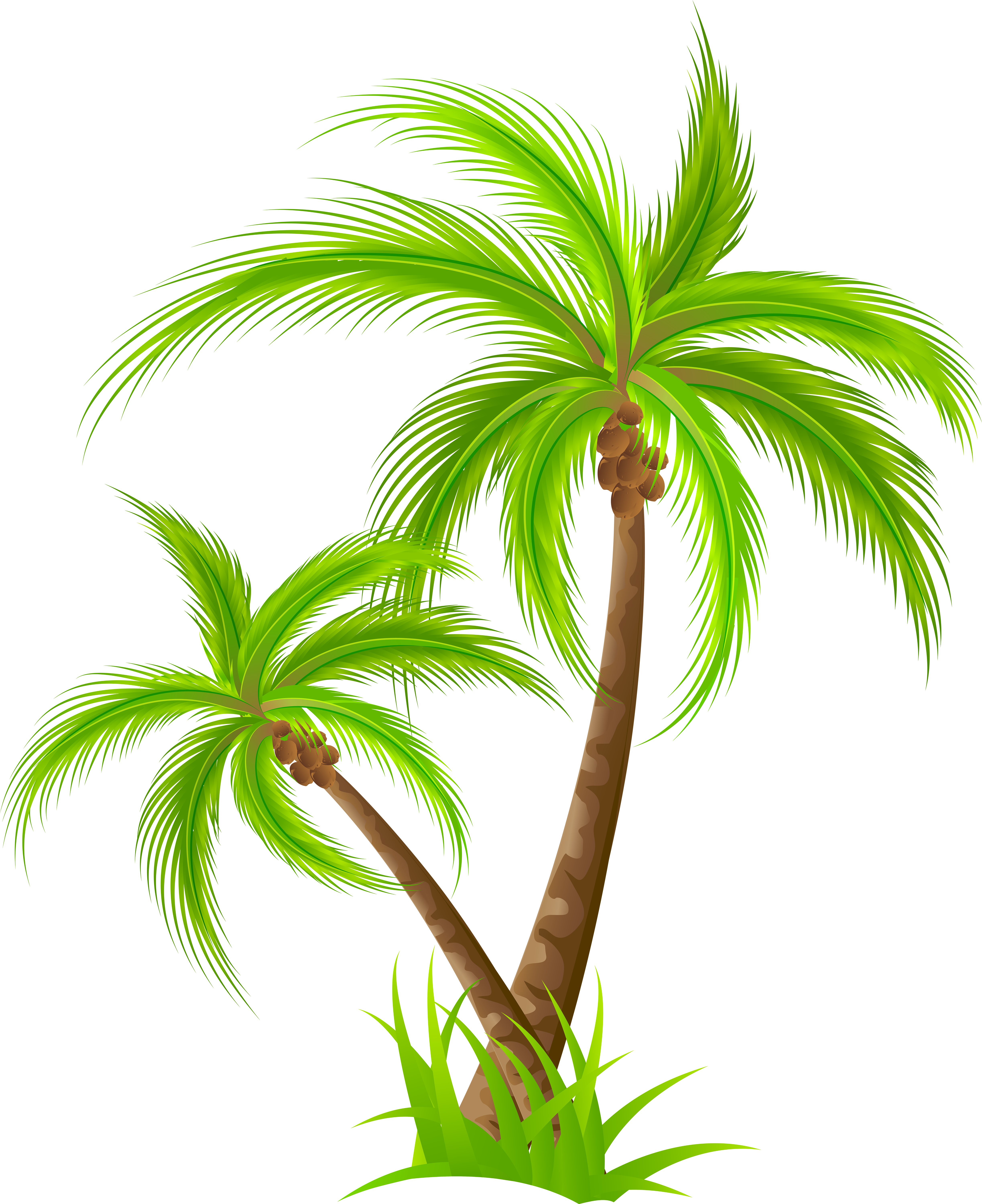Palm Tree Png Clip Art - Onam Sadya Illustrator (4894x6000), Png Download