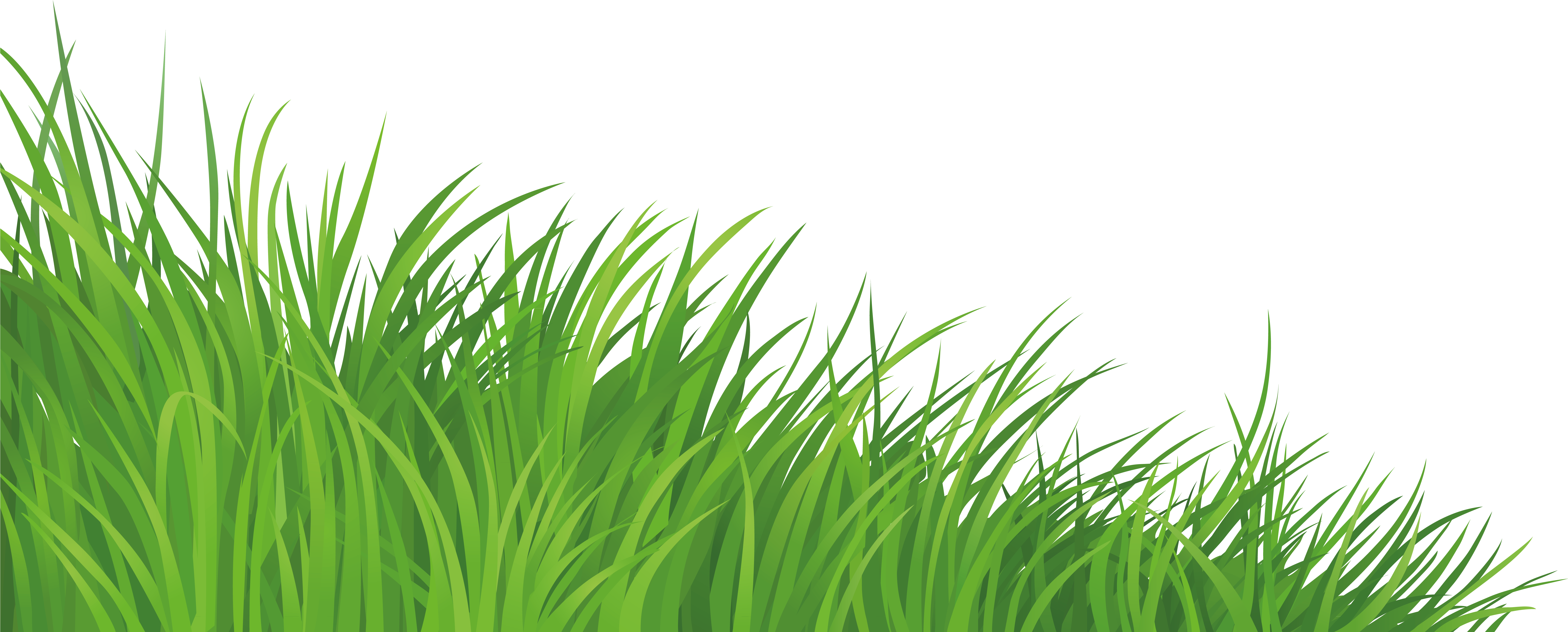 Element Png Picture Gallery Yopriceville High View (7298x3112), Png Download