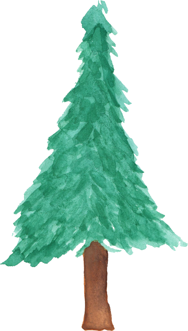Pine Watercolor Png - Watercolor Christmas Tree Png (600x1052), Png Download